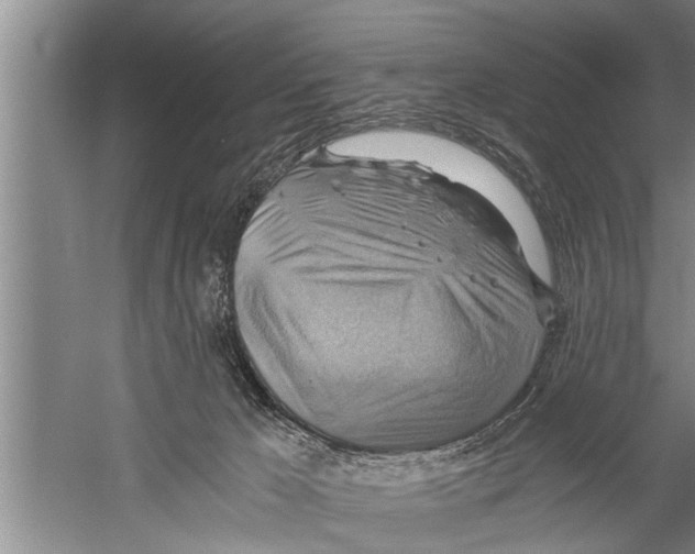 X0000058820029200510282208