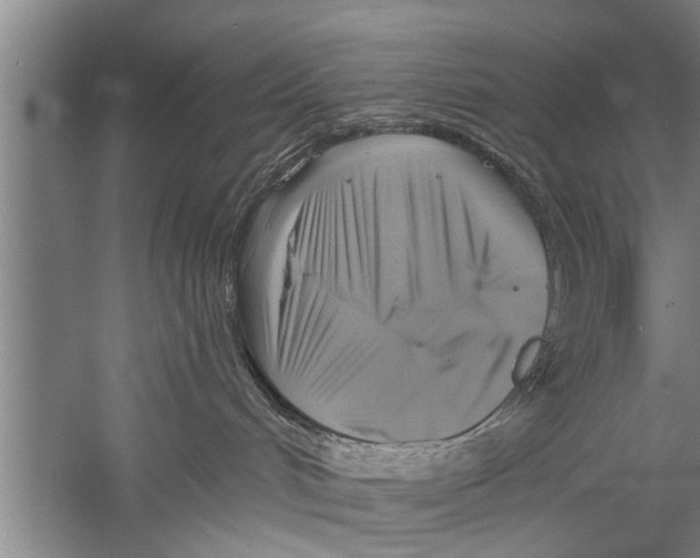X0000058820048200510282208