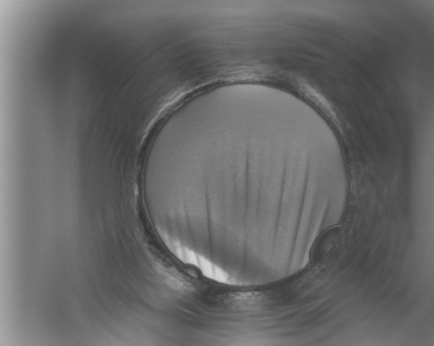 X0000058820059200510282207