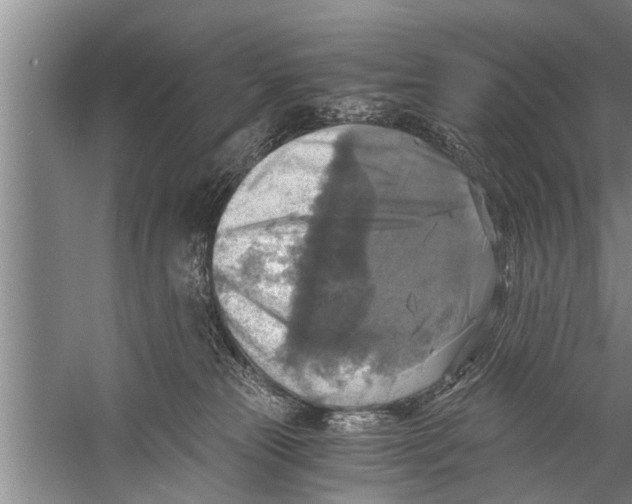 X0000058820181200510282206