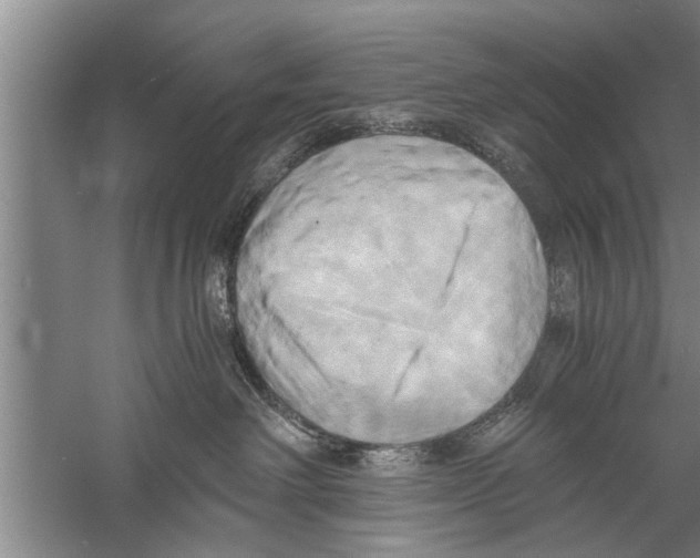 X0000058820238200510282205