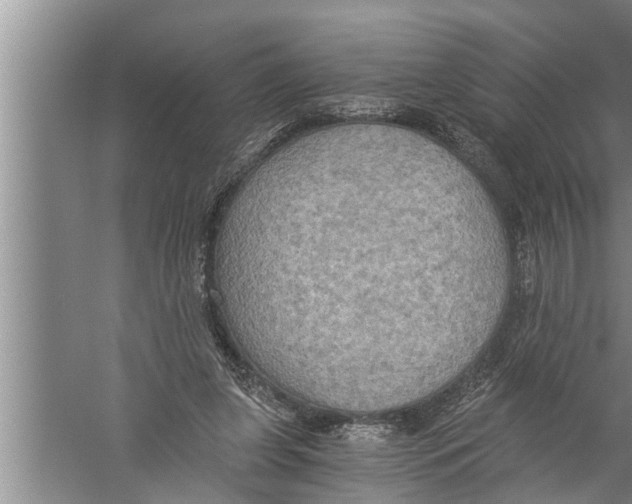X0000058820255200510282204
