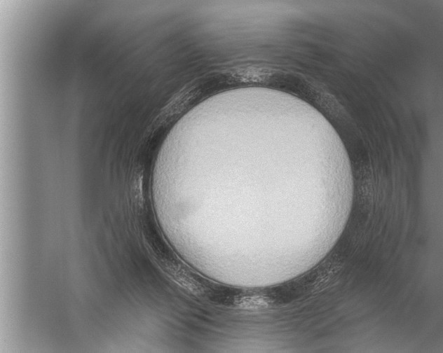 X0000058820262200510282204