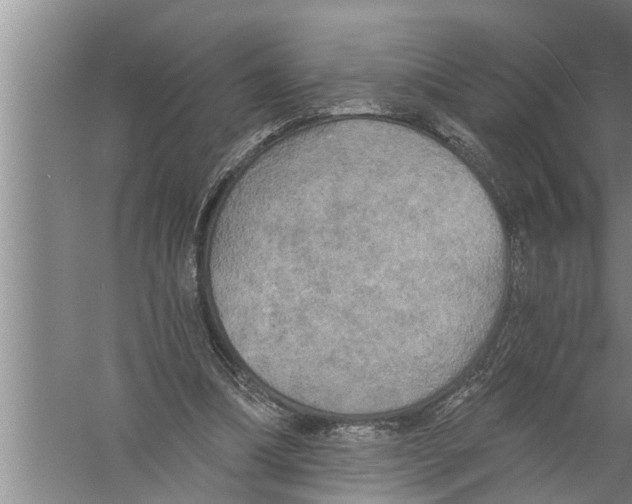 X0000058820298200510282204