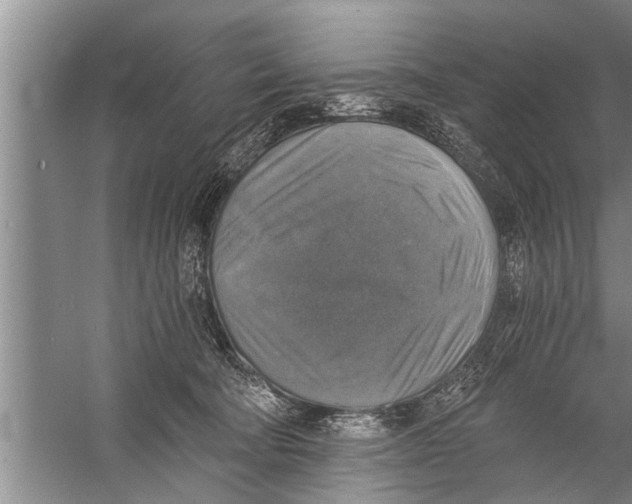 X0000058820322200510282203