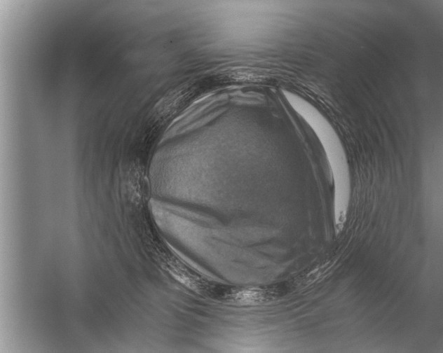 X0000058820325200510282203