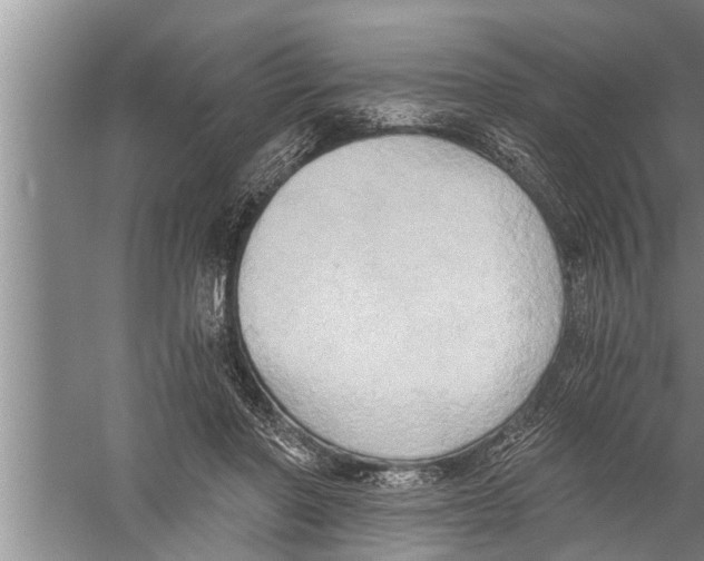 X0000058820406200510282202
