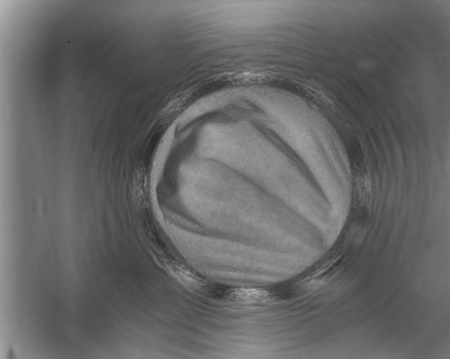 X0000058820429200510282201
