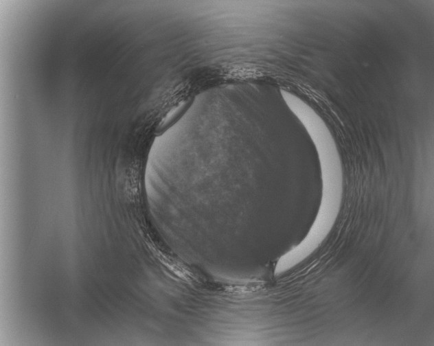 X0000058820517200510282200