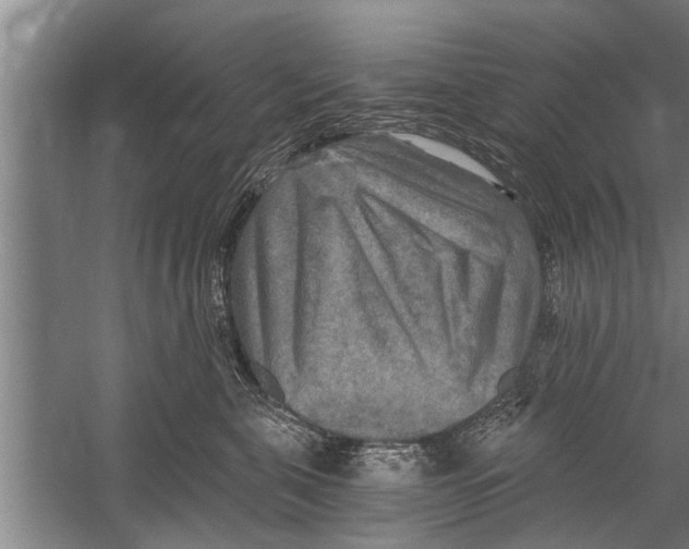 X0000058820571200510282200