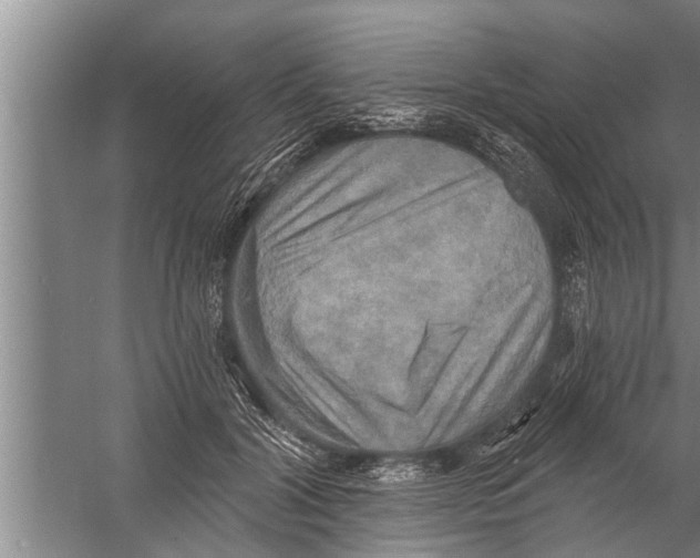 X0000058820604200510282158