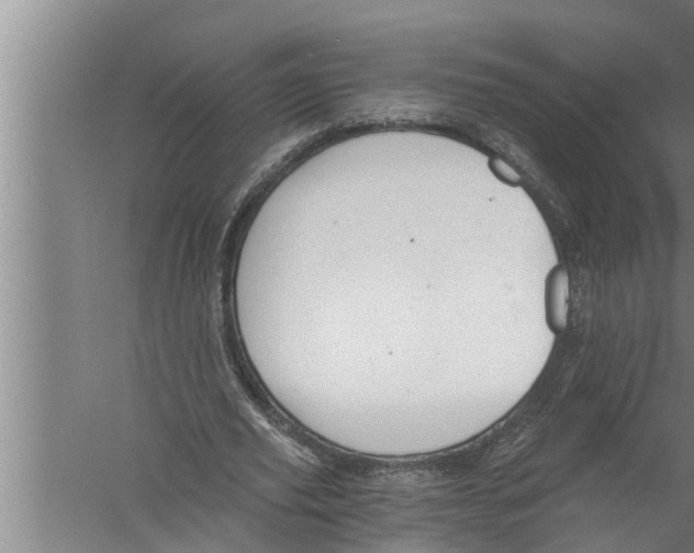 X0000058820629200510282157