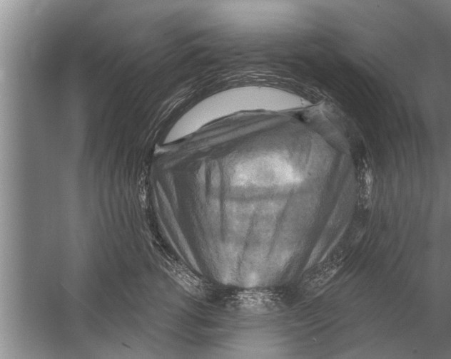 X0000058820762200510282156