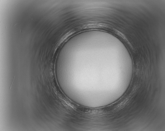 X0000058820786200510282155