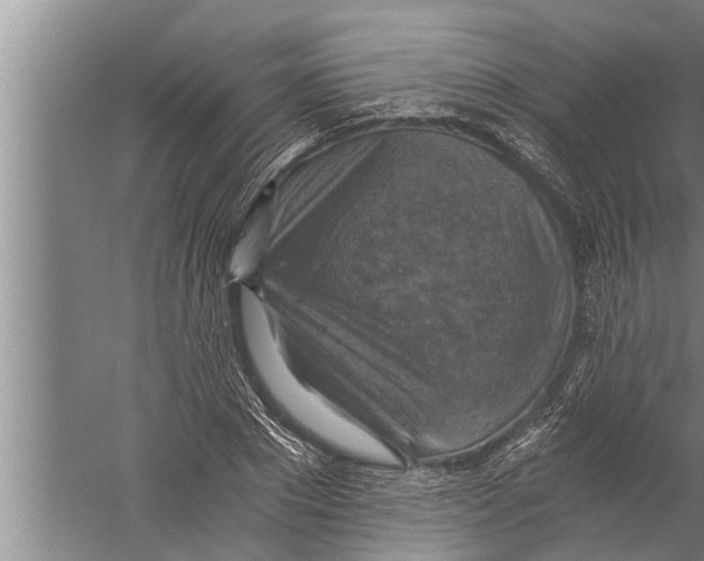 X0000058820881200510282154