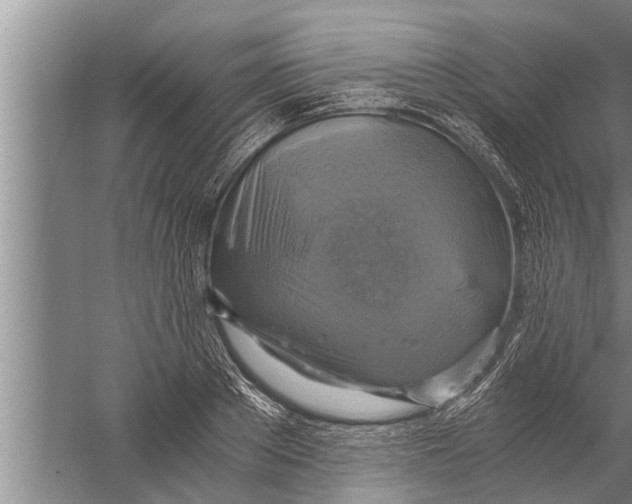 X0000058820889200510282154