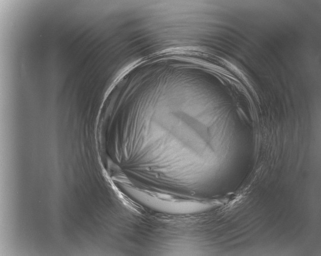 X0000058821050200510282152