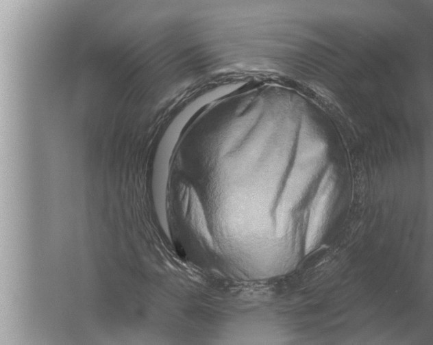 X0000058821110200510282149