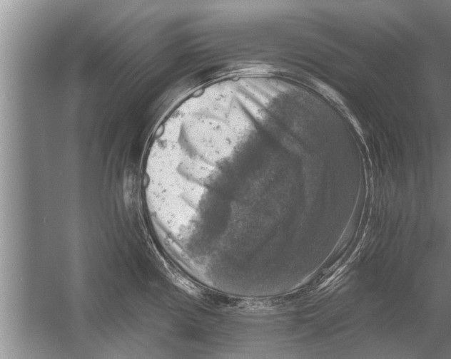 X0000058821194200510282148