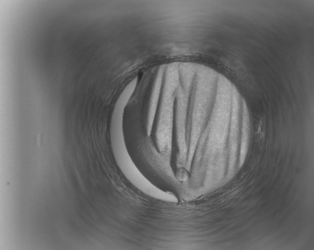 X0000058821348200510282146