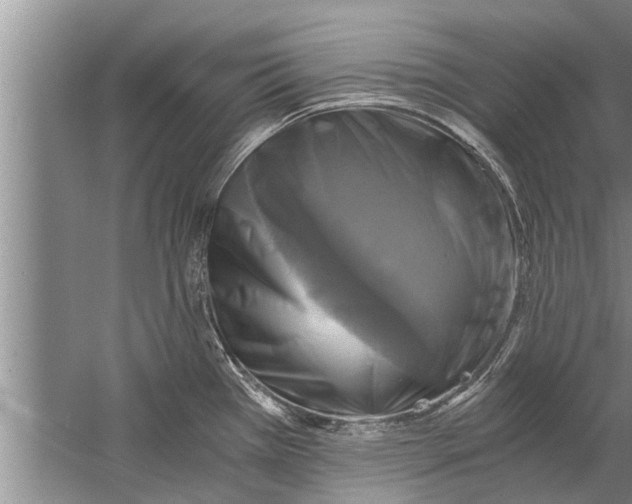 X0000058821385200510282145