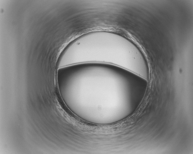 X0000058830011200509300953