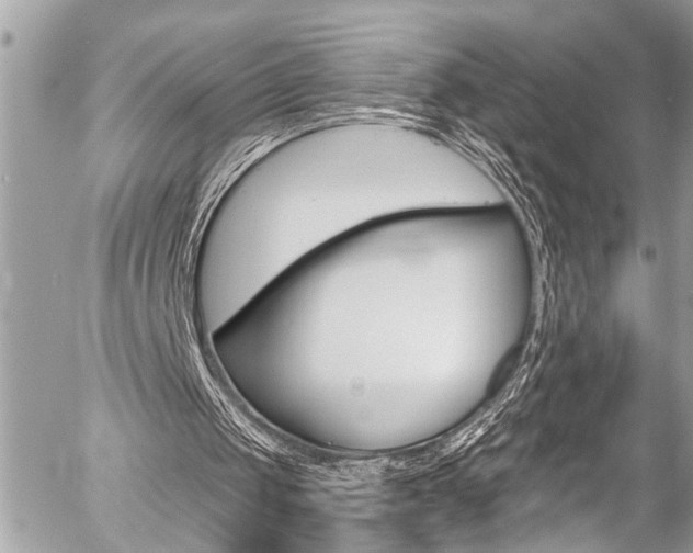 X0000058830049200509300952