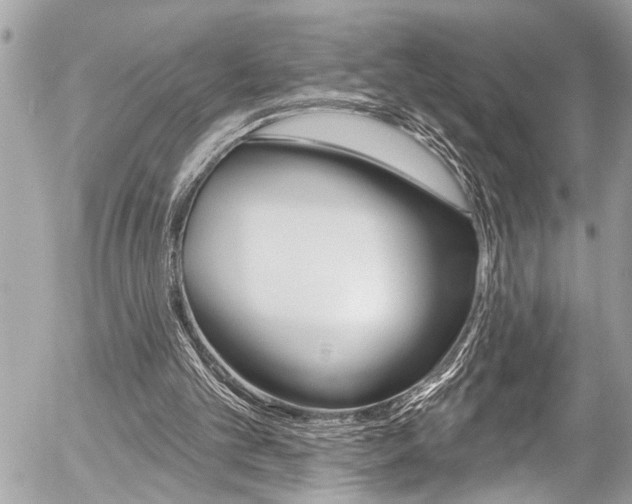 X0000058830101200509300952