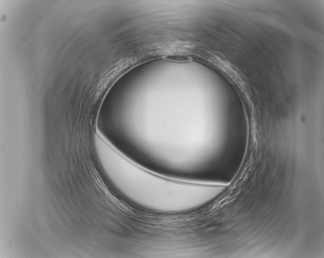 X0000058830105200509300951