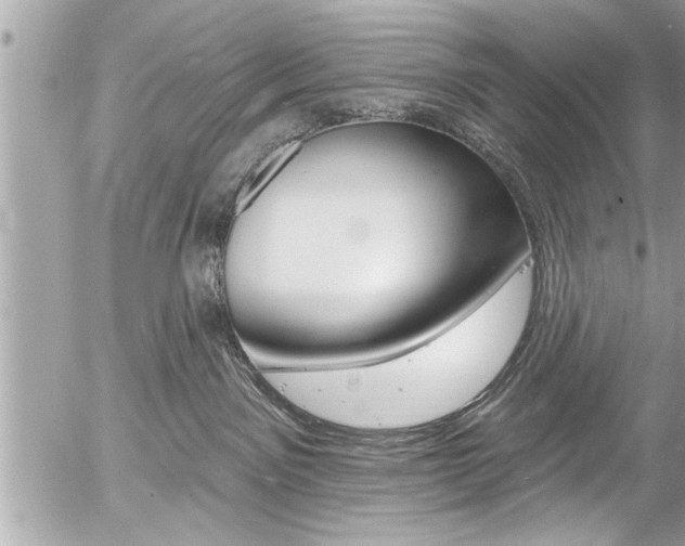 X0000058830141200509300951