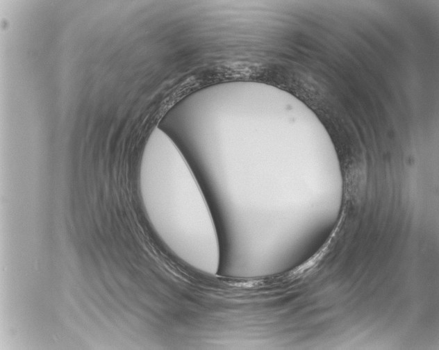 X0000058830178200509300951