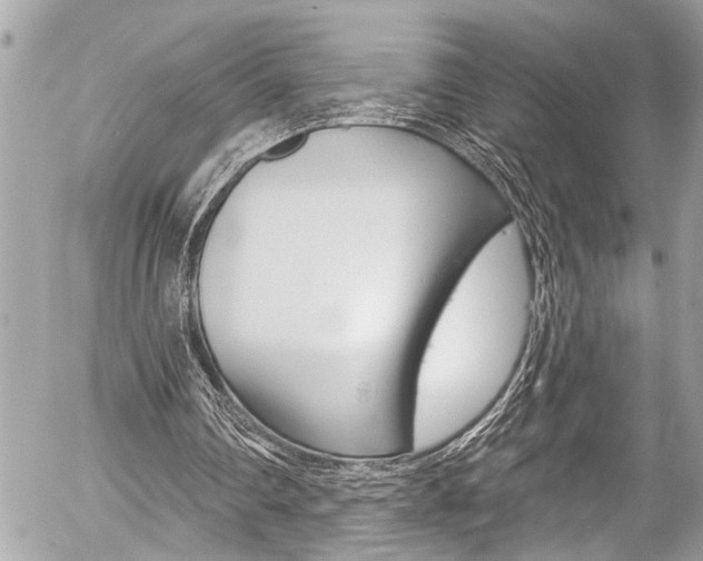 X0000058830290200509300948