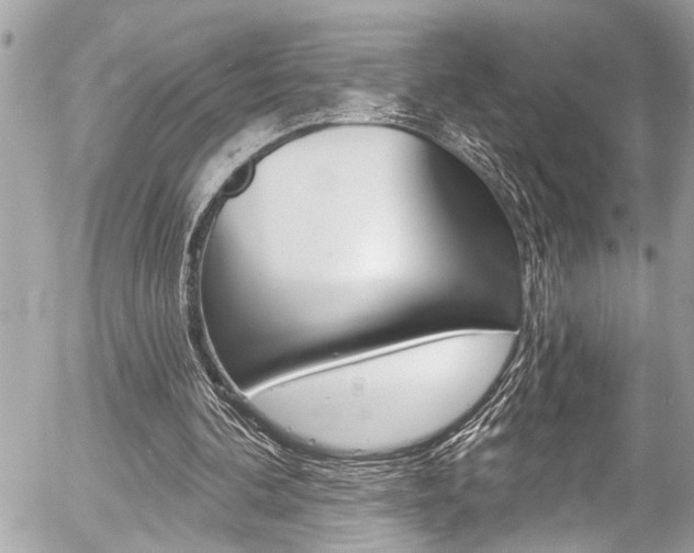 X0000058830292200509300948
