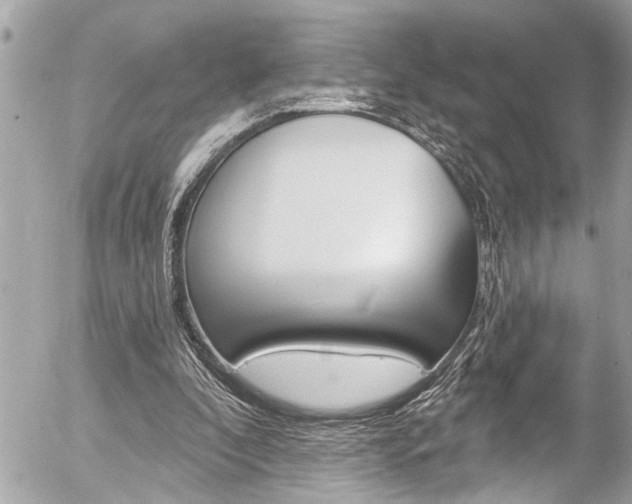 X0000058830296200509300948