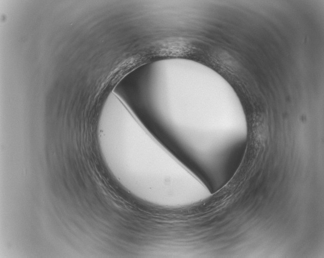 X0000058830312200509300948