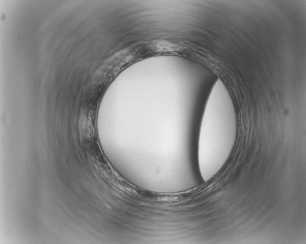 X0000058830422200509300946