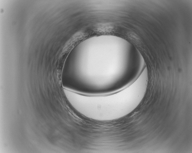 X0000058830428200509300946