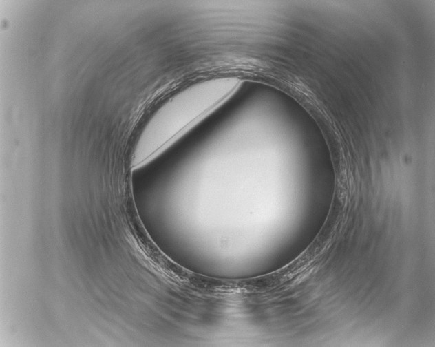 X0000058830454200509300945