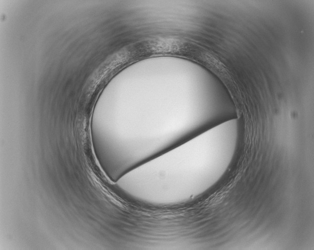X0000058830490200509300945