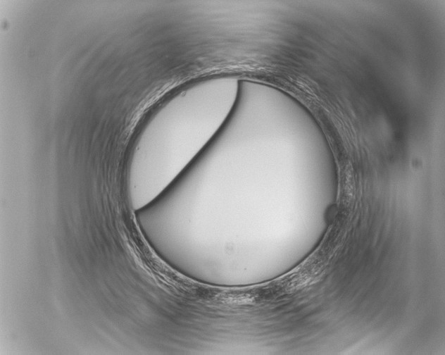 X0000058830491200509300945
