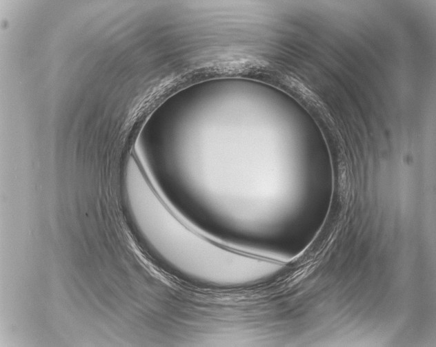 X0000058830493200509300945