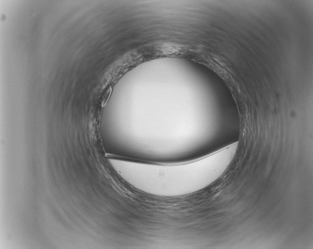 X0000058830524200509300944
