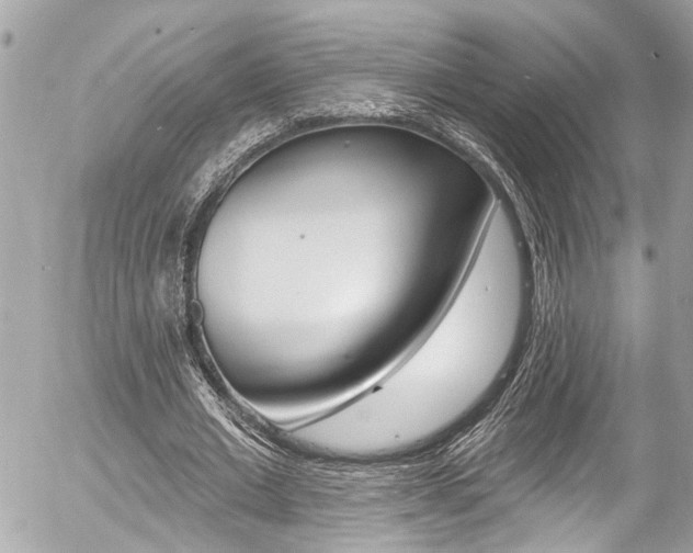 X0000058830677200509300942