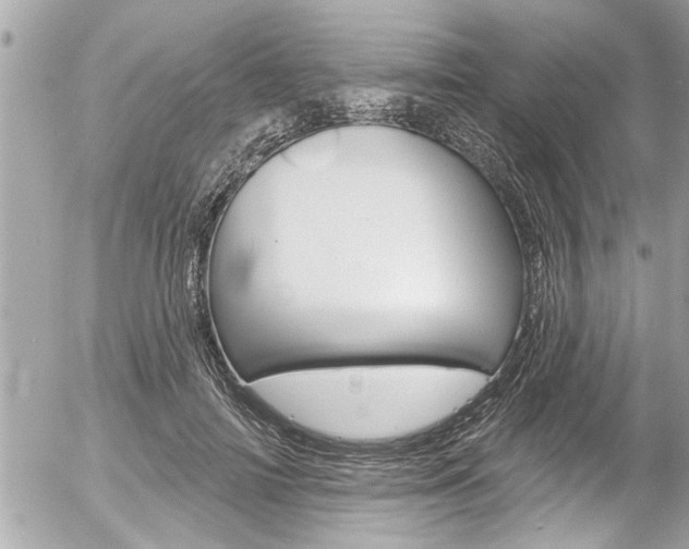 X0000058830698200509300941