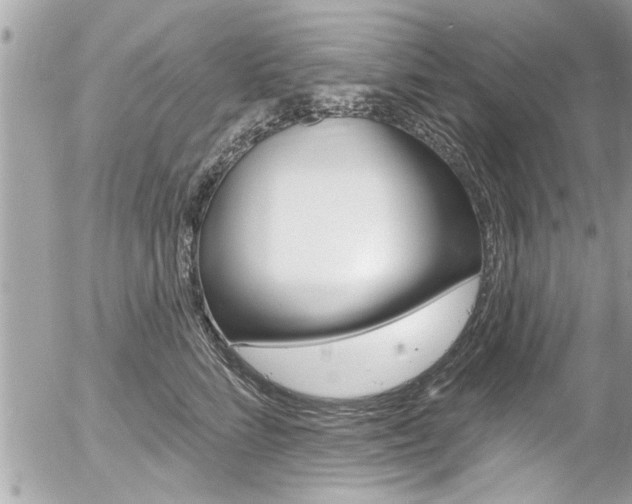 X0000058830712200509300941