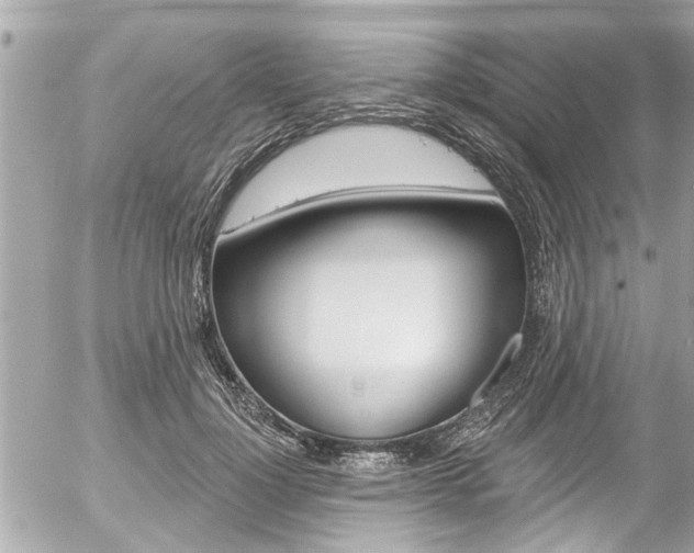 X0000058830748200509300941