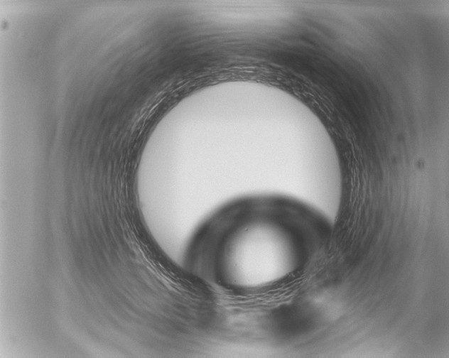 X0000058830750200509300941