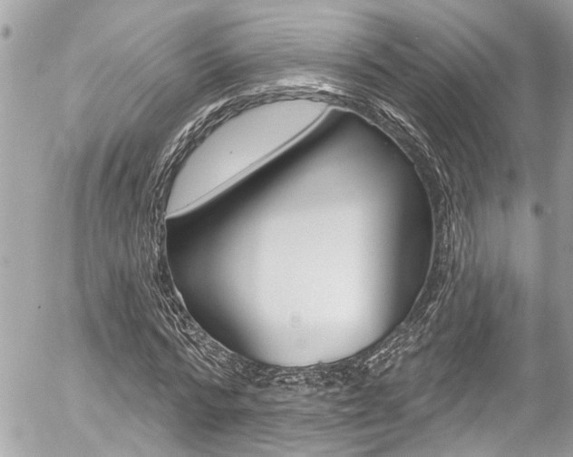 X0000058830776200509300940