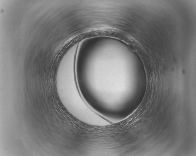 X0000058830822200509300939