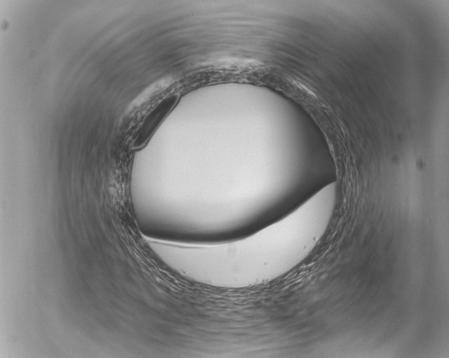 X0000058830869200509300939